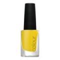 Bicycle Yellow CND
